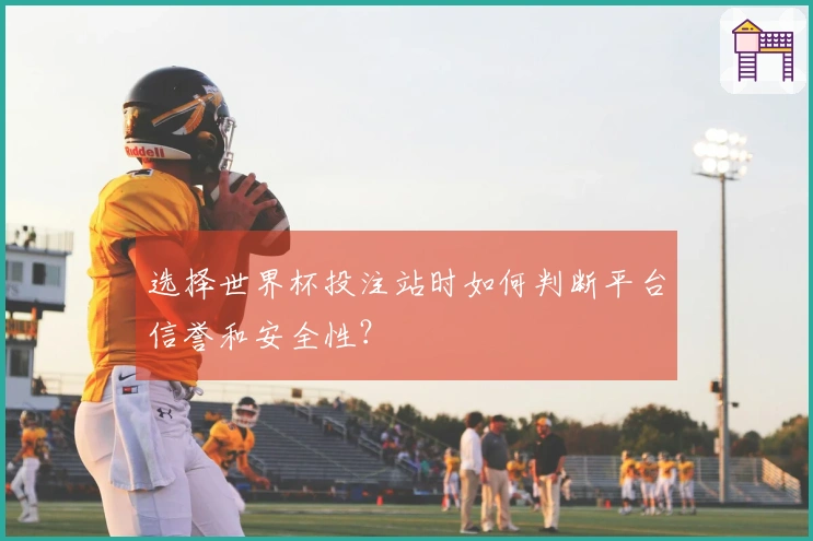 选择世界杯投注站时如何判断平台信誉和安全性？