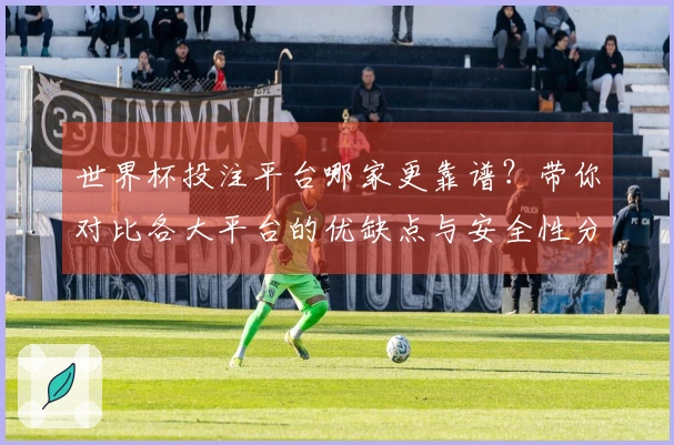世界杯投注平台哪家更靠谱？带你对比各大平台的优缺点与安全性分析