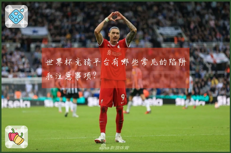 世界杯竞猜平台有哪些常见的陷阱和注意事项？