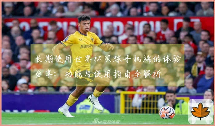 长期使用世界杯买球手机端的体验分享：功能与使用指南全解析