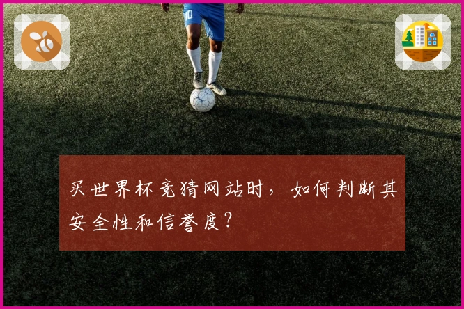 买世界杯竞猜网站时,如何判断其安全性和信誉度?