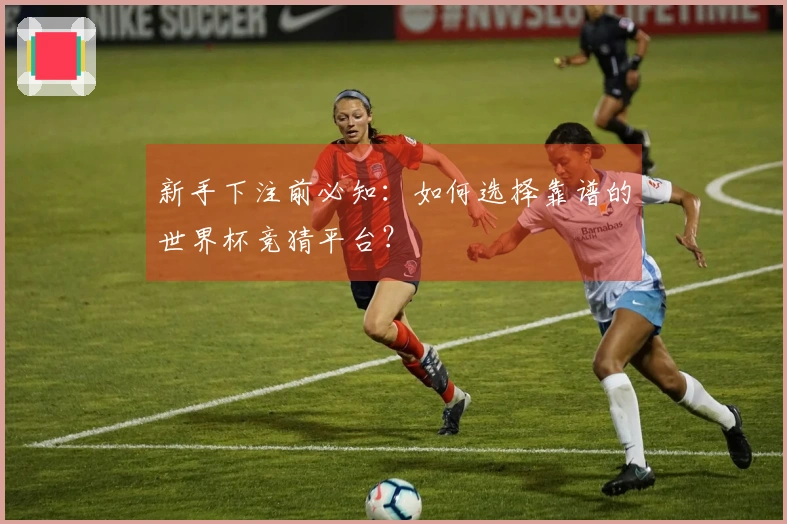 新手下注前必知：如何选择靠谱的世界杯竞猜平台？