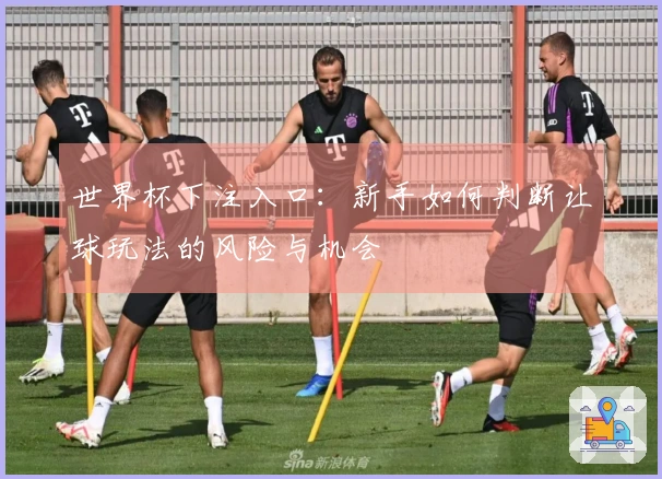 世界杯下注入口：新手如何判断让球玩法的风险与机会
