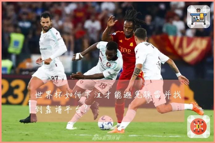 世界杯如何下注才能避免踩雷并找到靠谱平台？