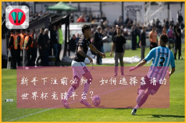新手下注前必知：如何选择靠谱的世界杯竞猜平台？