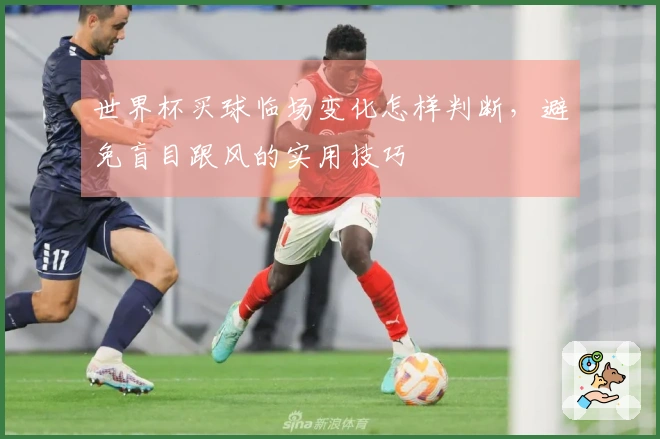 世界杯买球临场变化怎样判断，避免盲目跟风的实用技巧