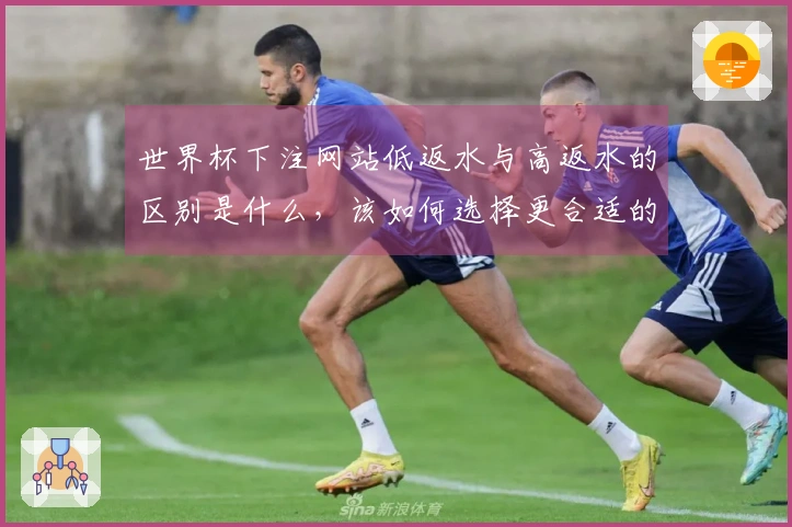 世界杯下注网站低返水与高返水的区别是什么，该如何选择更合适的平台？