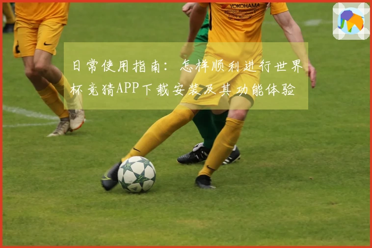日常使用指南：怎样顺利进行世界杯竞猜APP下载安装及其功能体验