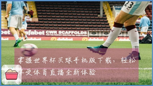 掌握世界杯买球手机版下载，轻松享受体育直播全新体验