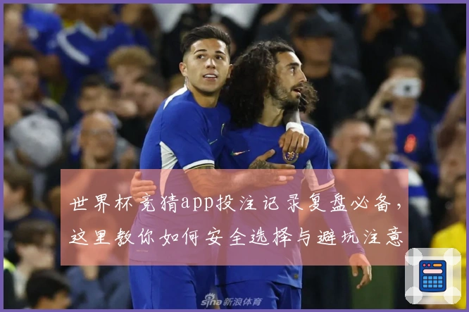 世界杯竞猜app投注记录复盘必备,这里教你如何安全选择与避坑注意事项