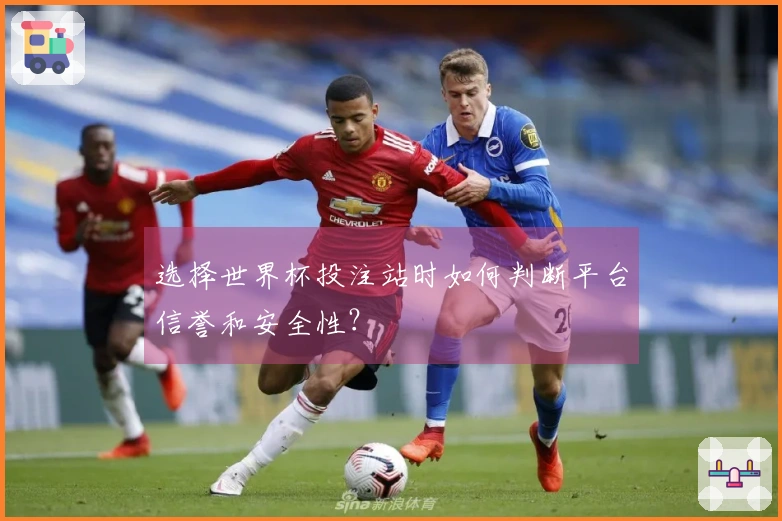 选择世界杯投注站时如何判断平台信誉和安全性？
