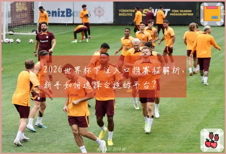 2026世界杯下注入口携赛程解析，新手如何选择合适的平台？