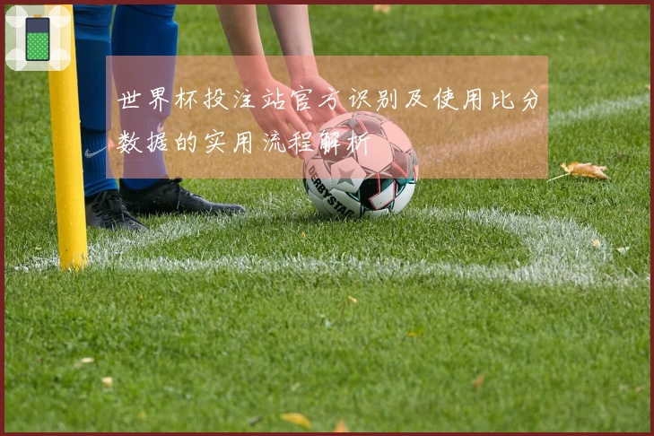 世界杯投注站官方识别及使用比分数据的实用流程解析