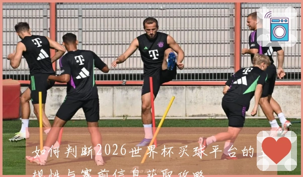 如何判断2026世界杯买球平台的正规性与赛前信息获取攻略