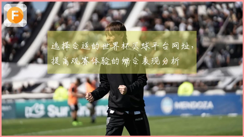 选择合适的世界杯买球平台网址，提高观赛体验的综合表现分析
