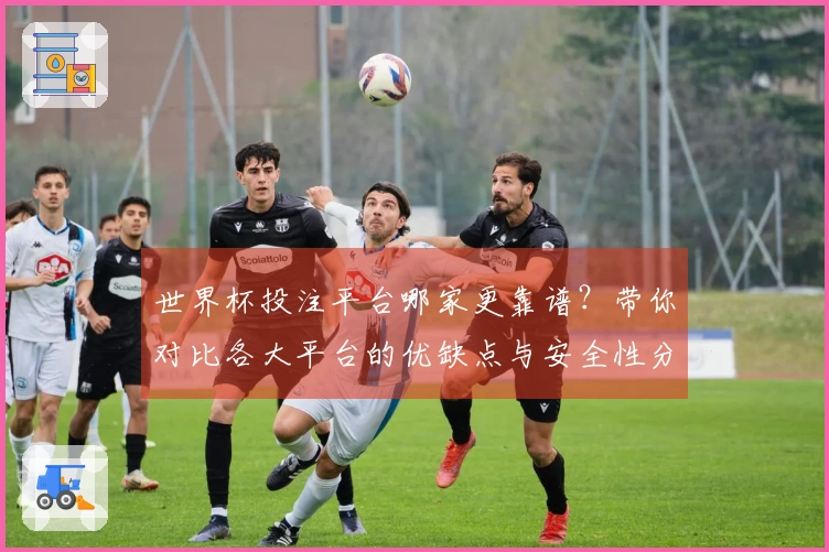 世界杯投注平台哪家更靠谱？带你对比各大平台的优缺点与安全性分析