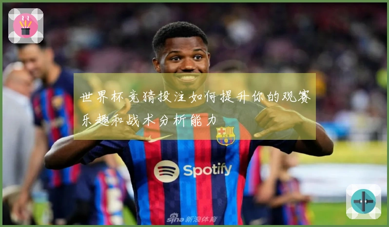 世界杯竞猜投注如何提升你的观赛乐趣和战术分析能力