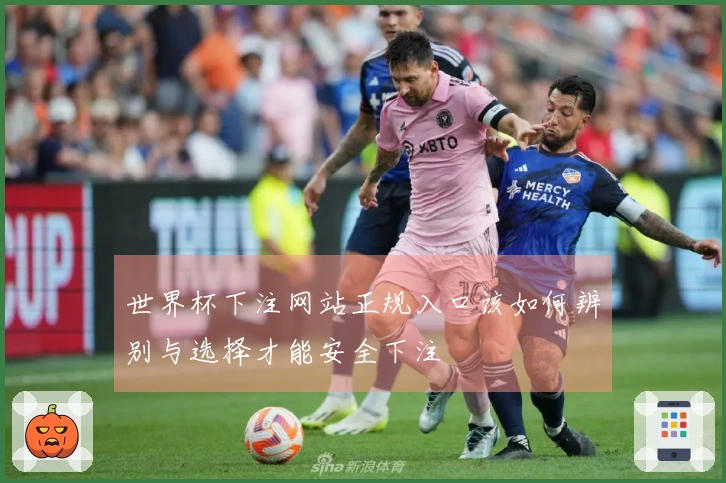 世界杯下注网站正规入口该如何辨别与选择才能安全下注