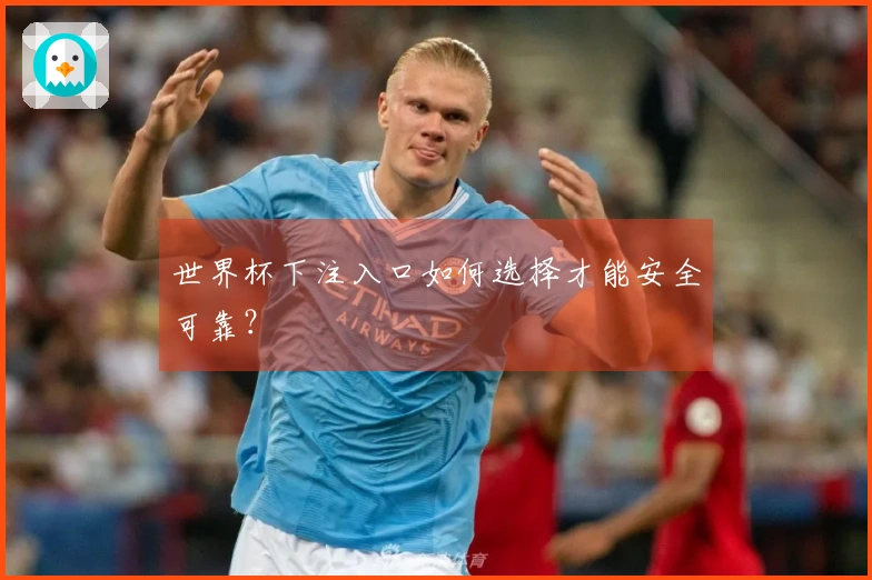 世界杯下注入口如何选择才能安全可靠？