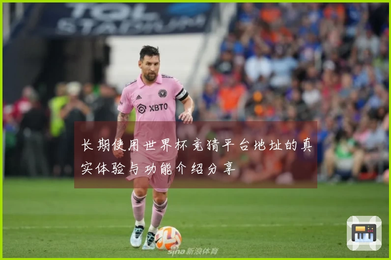 长期使用世界杯竞猜平台地址的真实体验与功能介绍分享