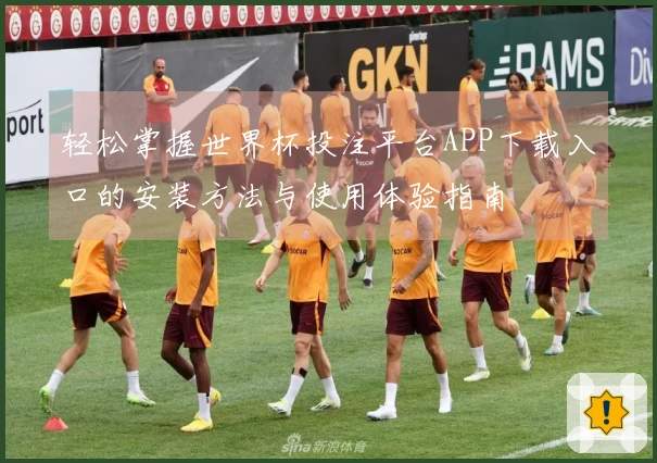 轻松掌握世界杯投注平台APP下载入口的安装方法与使用体验指南