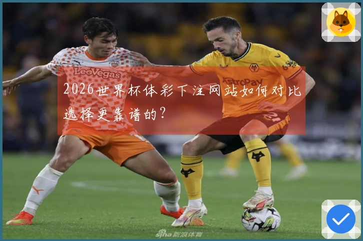2026世界杯体彩下注网站如何对比选择更靠谱的？